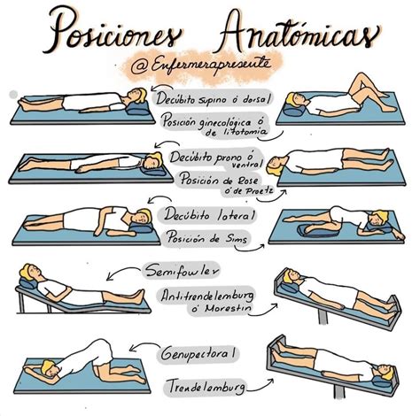 posiciones anatomicas